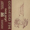 Gorsedd FM - Nos Wyl